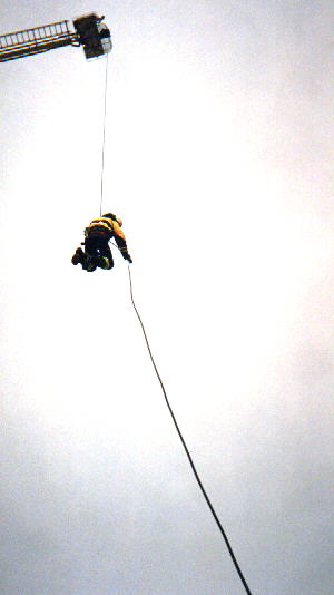 Bronto.jpg (15713 bytes)