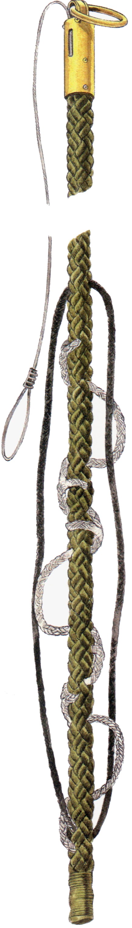 Fasfries.jpg (174375 bytes)