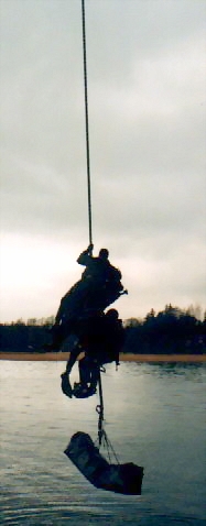 Fries.jpg (12573 bytes)