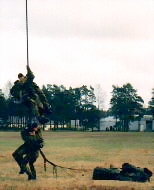 Fries2.jpg (6843 bytes)