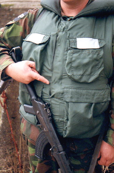 Lifebul.jpg (46962 bytes)