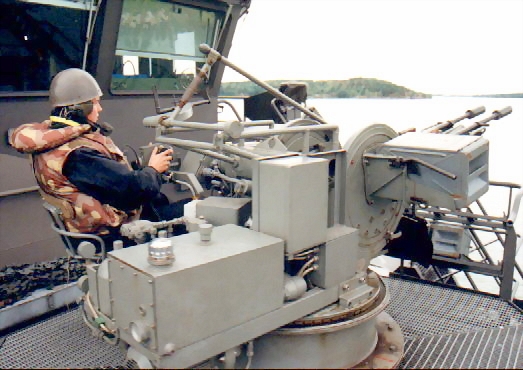 Lifeserg.jpg (44040 bytes)