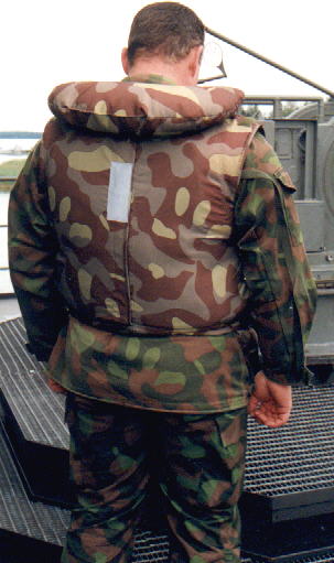 Lifetaka.jpg (32574 bytes)