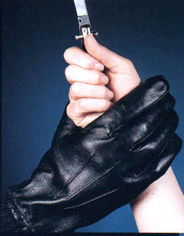 V2303a.jpg (37638 bytes)